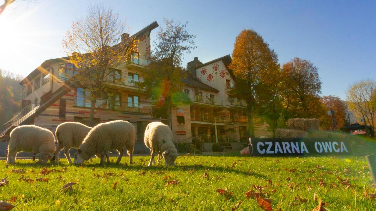 Hotel Piwniczna Spa&Conference Exteriér fotografie